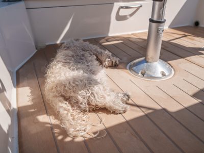 E-DECK PRO boat decking installed on a Quicksilver motorboat